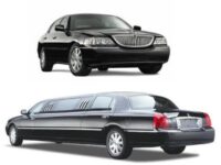 Daisy Executive Limo LLC
