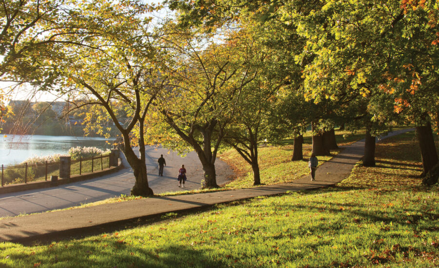 People walking in Druid Hill Park.
