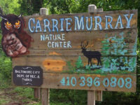 Carrie Murray Nature Center