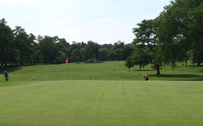 Lush green at Carroll Park Golf Course