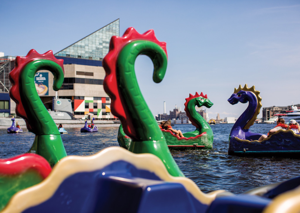 Justin Tsucalas Chessie Paddle Boats in the Inner Harbor