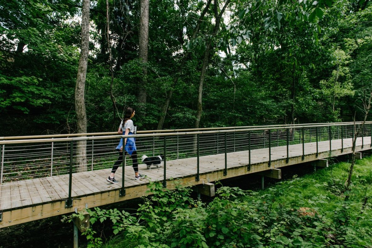 Woman walks her dog along the Jones Fall Trail.