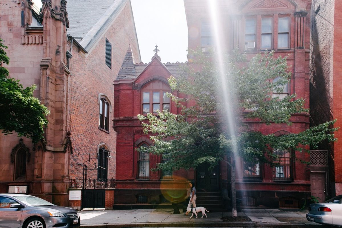 Woman walks her dog in Mount Vernon