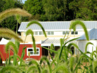 Irvine Nature Center
