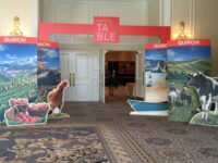 Vista Convention Services