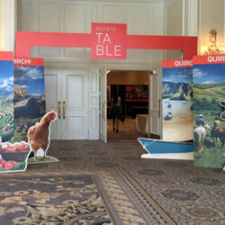 Vista Convention Services