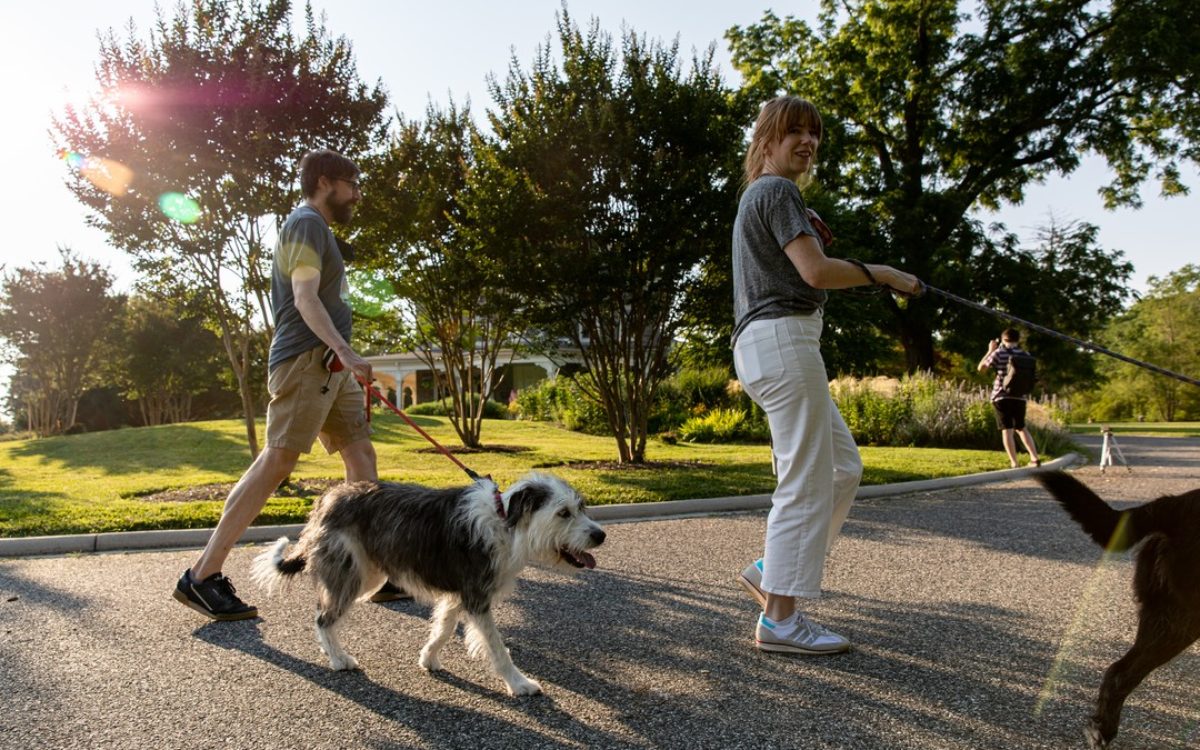 Man and woman walk dogs at Cylburn Arboretum