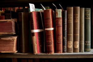Books lined up on a shelf