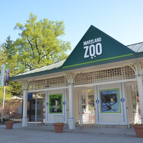 Entrance to the Maryland Zoo on a sunny day.