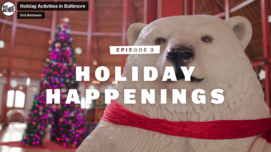 Holiday Happenings video